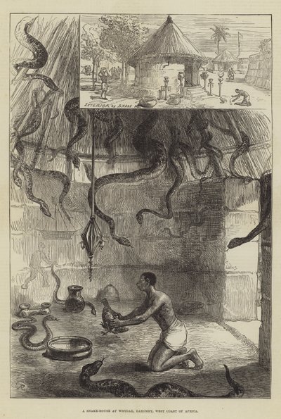A Snake-House at Whydah, Dahomey, West Coast of Africa by Sir John Charles Robinson